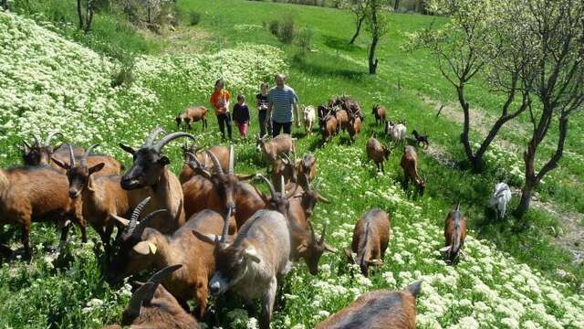 Ferme des Jassines