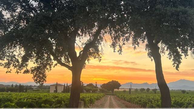 L'Instant Boislauzon au Domaine Mas de Boislauzon