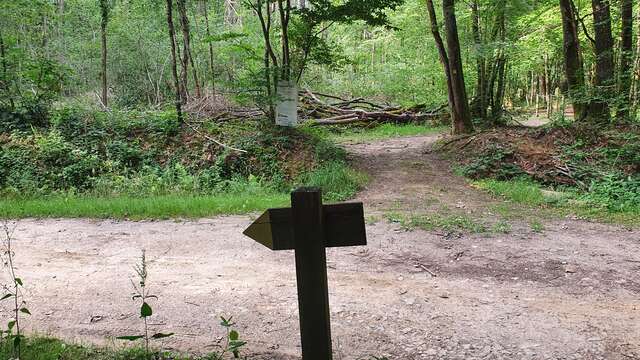 Walk - Etrez arboretum & ND de Bourbouillon