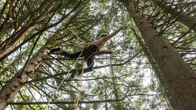 Exposition : Entre les branches