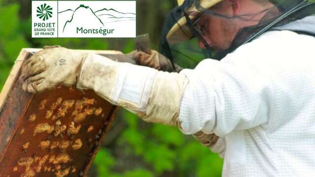 Apiculteur, élever et protéger