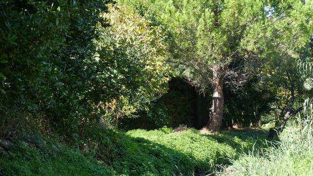 Chemin de Compostelle et Canal du Béal à la Roquette-sur-Siagne