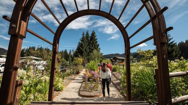 Pere Delavay's botanical Garden