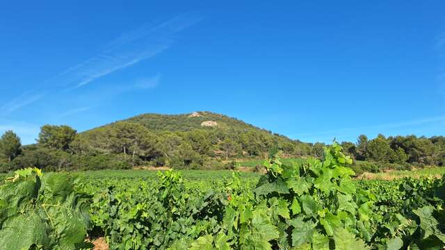 Domaine de Favanquet
