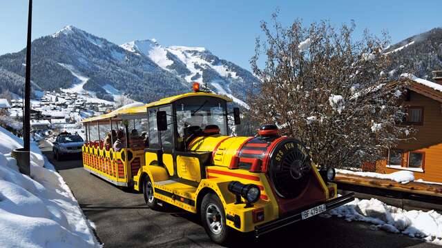 Petit train
