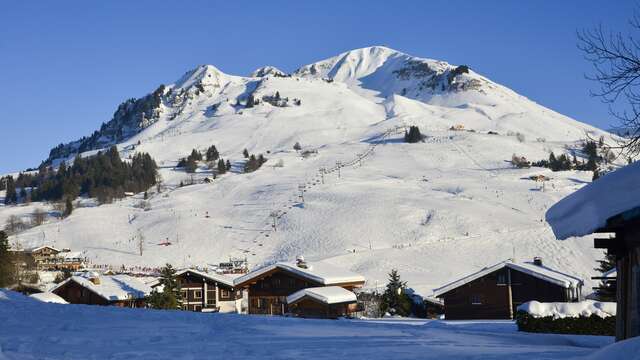 Route für Fußgänger - Schneeschuhwanderer 25 - La Tannaz
