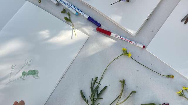 Atelier : Mon herbier du moyen âge