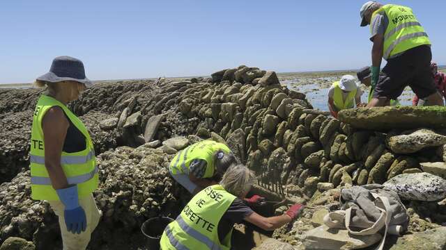 Chantier participatif de l'écluse à poissons « La Moufette »