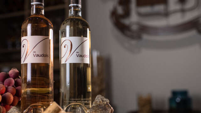 Nouveau millésime spécial Rosé