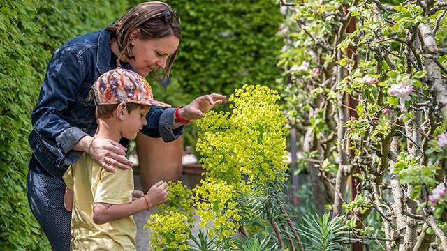 Tour in die entgegengesetzte Richtung - Garten der fünf Sinne