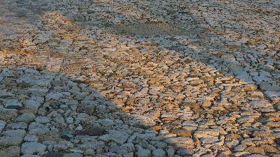 Sentier botanique dans les collines de la Fare-les-Oliviers