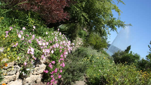 Jardin méditerranéen