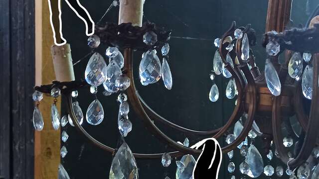 Carte blanche aux Affabulateurs