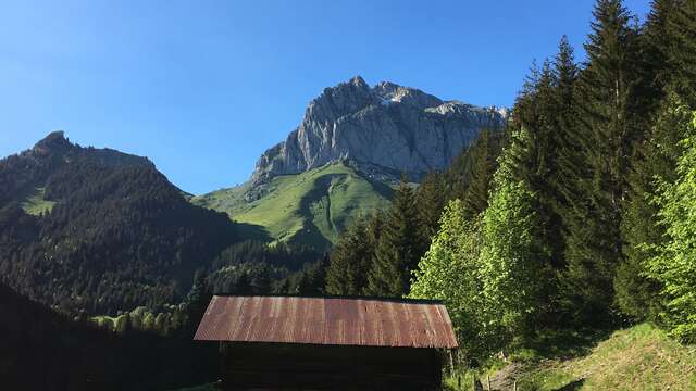 Electric mountain bike course 40 - La Chapelle d'Abondance