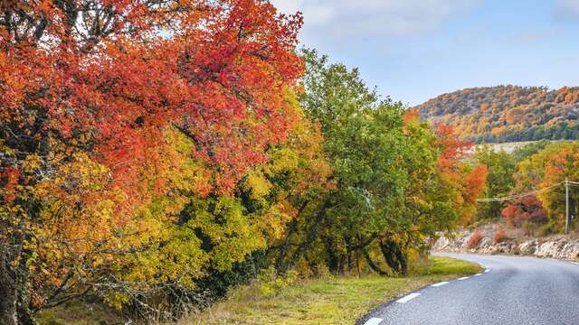 Tour du Verdon à vélo : Etape Ampus - Vérignon - Bauduen
