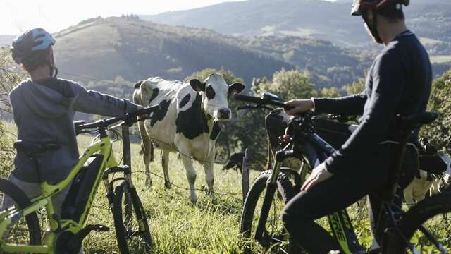 Séjour 2 jours - Week-end à la ferme en hébergement insolite