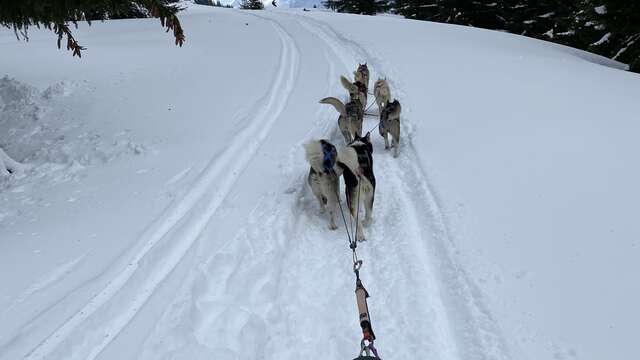 Antarctic Road