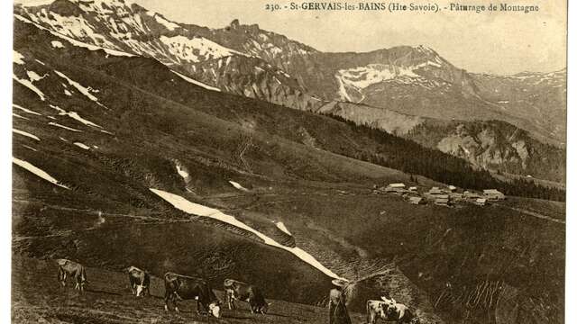 Conférence "Heidi, une petite fille pour découvrir les Alpes" - Gilles Fumey