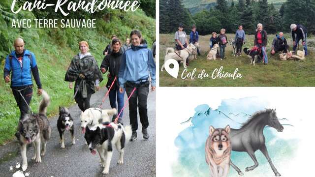 Cani-randonnée avec Terre Sauvage