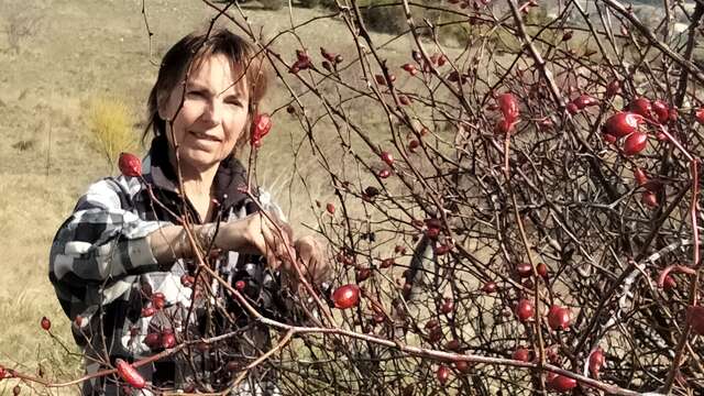 Les cueillettes de Marielle