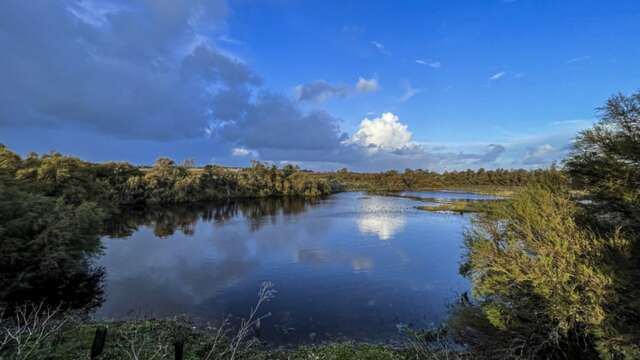 Partizipatives Projekt in den Sümpfen von Loix