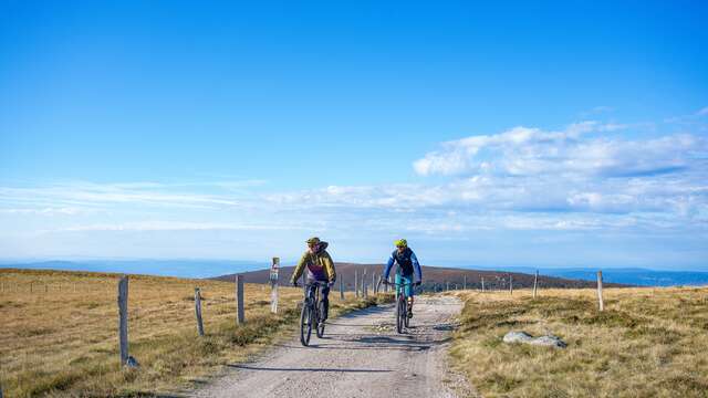 Espace VTT-FFC du Massif des Bois Noirs