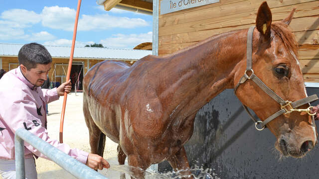 Courses à l'hippodrome