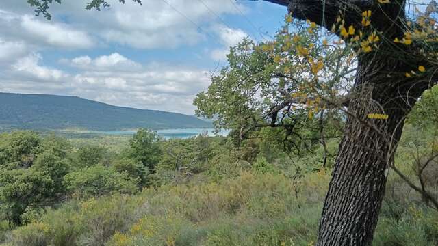 Vers le lac par Chanteraine