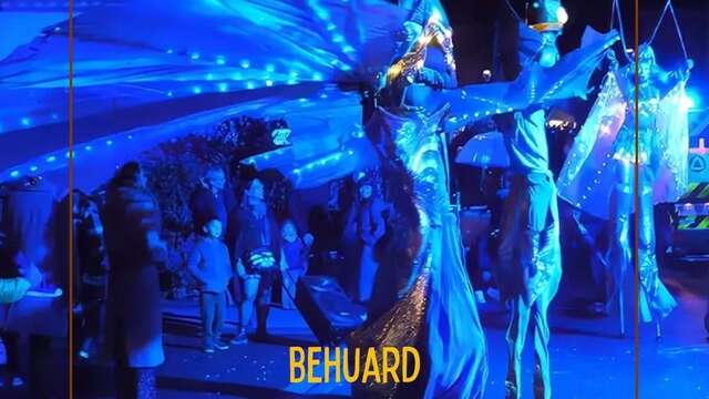 Petite cité d'Anjou en lumière à Béhuard