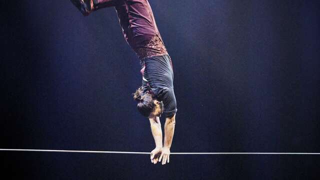 Stage de cirque : Fil de fer (adultes) - CIAM