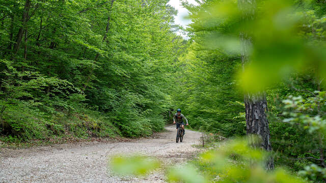 N°3 Circuit VTT et Gravel : Le Vallon du Riou