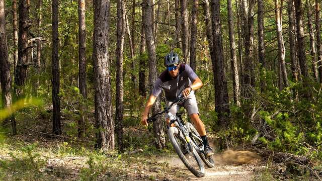 Site VTT FFC - Provence Verdon - Circuit 45 - Bleu - Artignosc-sur-Verdon