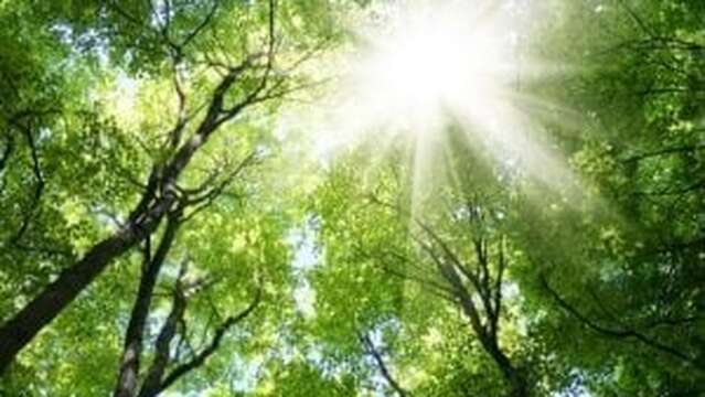 Gardien.nes de la forêt (7-13ans) - Marais de Lavours