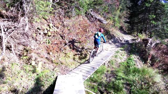 Bicicleta de montaña en el Salève