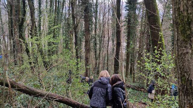 A la Découverte du marais avec les lycéens I Rendez-vous Nature en Savoie