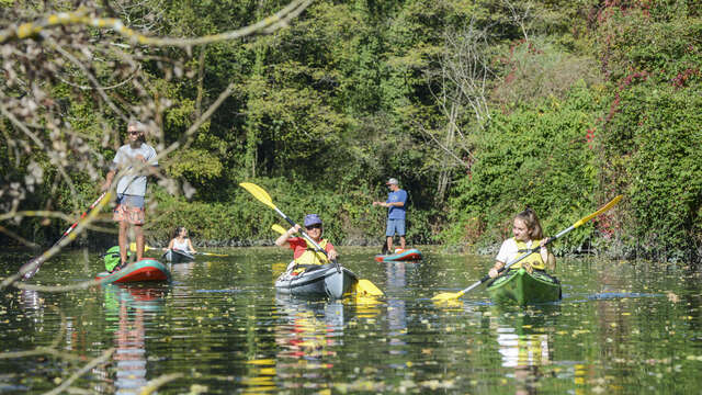 Rando kayak sur le Rhône sauvage à la journée