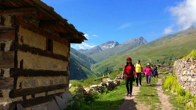 Group half-day hike