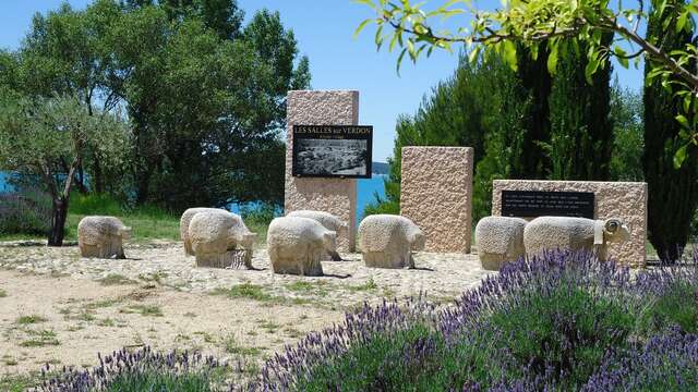 Exploring Toine’s Nature Trail