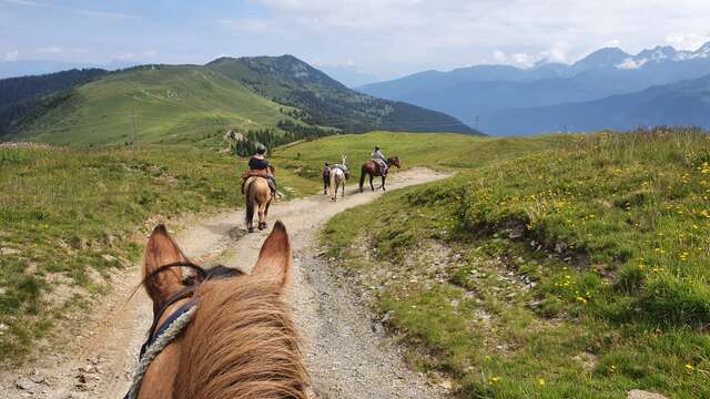 Les Chevaux des Crêts