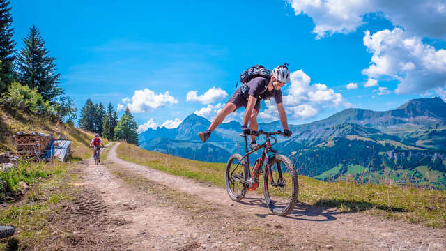 Blue Eco MTB