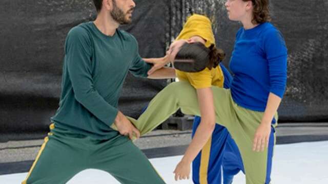 BIRDS - Festival Go.Elans - Soirée partagée 4 compagnies