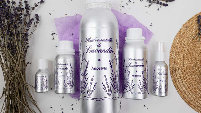 Visite de la distillerie Angelvin