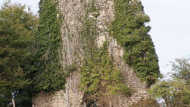 Tour du Draillant
