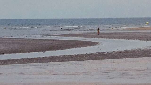 L’Homme atlantique précédé par Les mains négatives