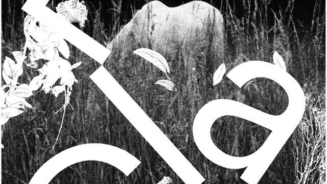 Le clan. Séance de dédicace