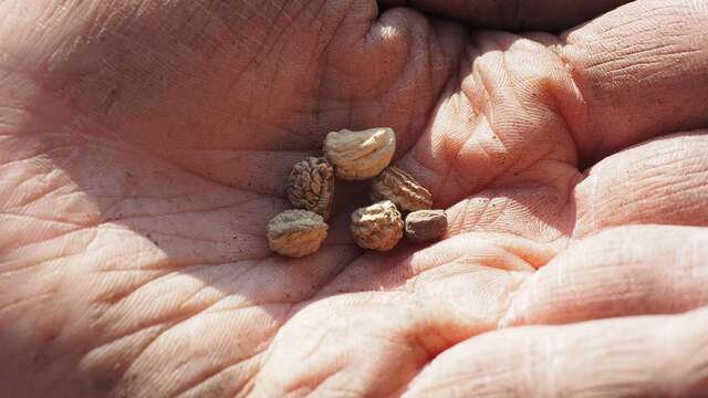 Printemps des jardiniers