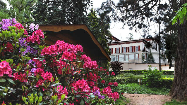 Parc municipal - Saint-Galmier