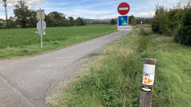 Randonnée la Voie Verte