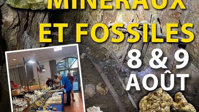 Messe für Mineralien und Fossilien