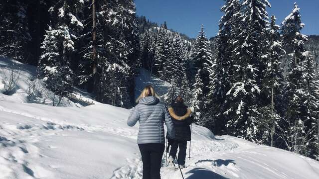 Sortie privée en raquettes
